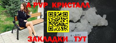 стаф Обнинск