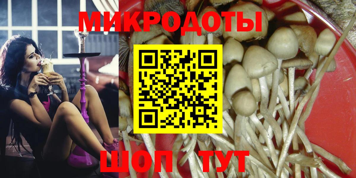 Сосновый Бор  Галлюциногенные грибы GOLDEN TEACHER  Вход с VPN 
